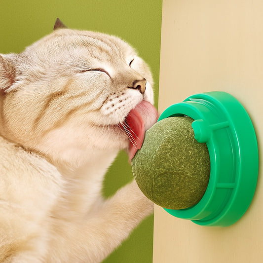 Catnip Lick Ball Set – Calming, Dental & Interactive Fun