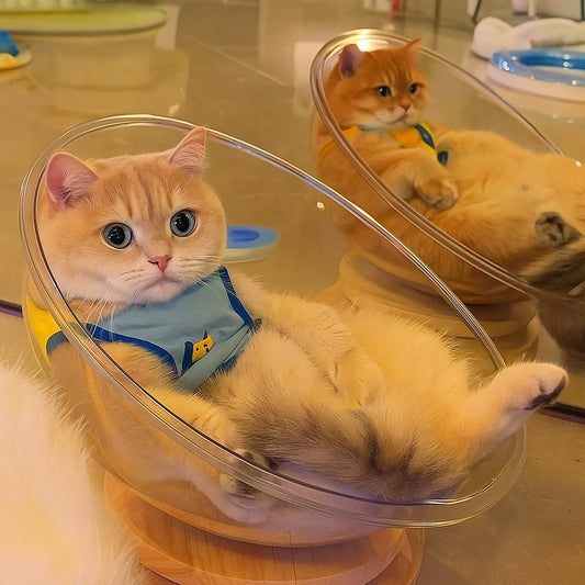 ClearView Cat Capsule – Sleep & Play in One