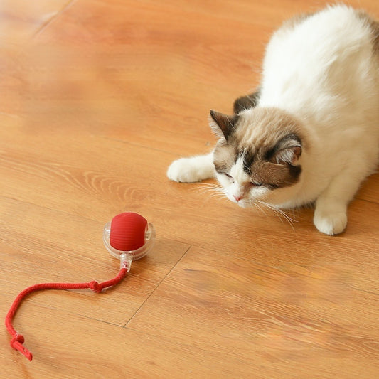 PawJoy Smart Cat Ball