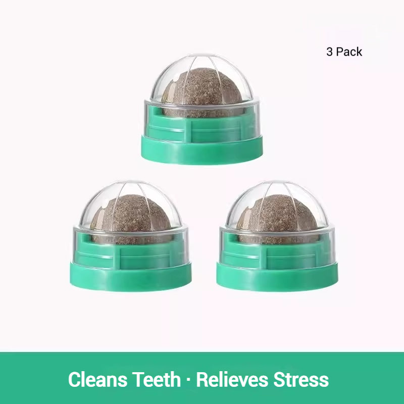 Catnip Lick Ball Set – Calming, Dental & Interactive Fun