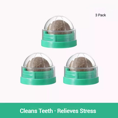 Catnip Lick Ball Set – Calming, Dental & Interactive Fun