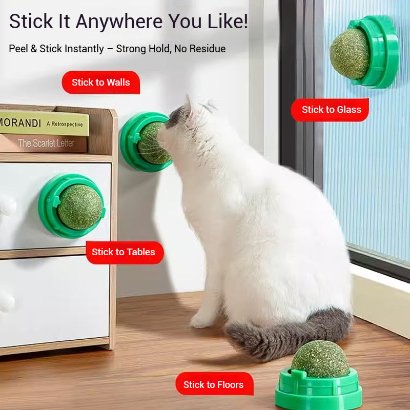 Catnip Lick Ball Set – Calming, Dental & Interactive Fun