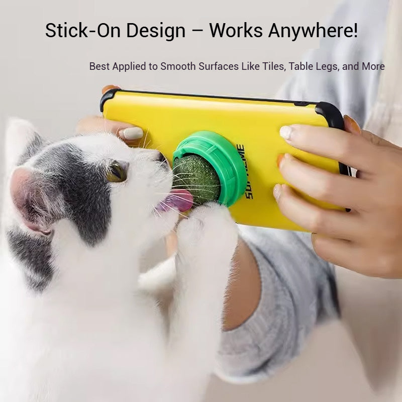 Catnip Lick Ball Set – Calming, Dental & Interactive Fun
