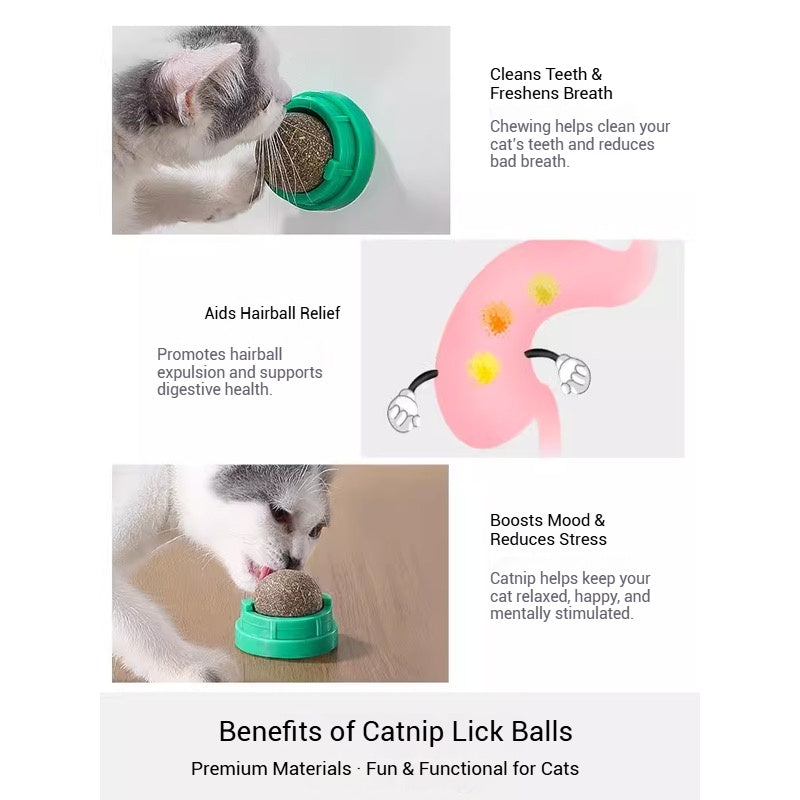 Catnip Lick Ball Set – Calming, Dental & Interactive Fun