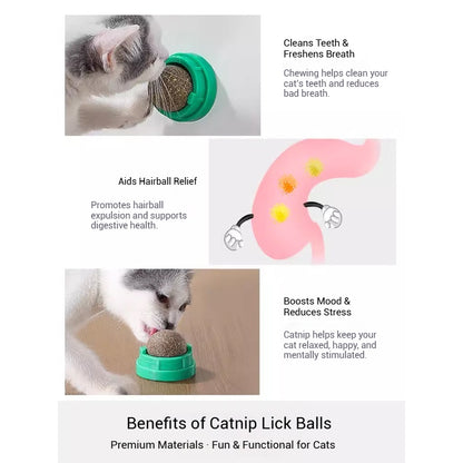 Catnip Lick Ball Set – Calming, Dental & Interactive Fun