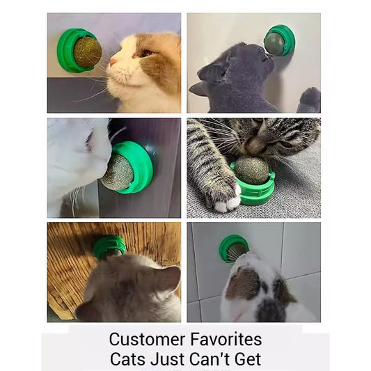 Catnip Lick Ball Set – Calming, Dental & Interactive Fun