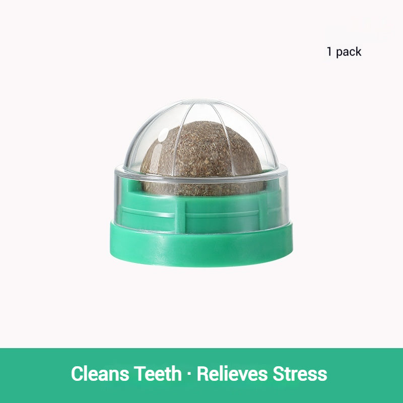 Catnip Lick Ball Set – Calming, Dental & Interactive Fun