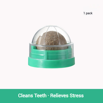 Catnip Lick Ball Set – Calming, Dental & Interactive Fun