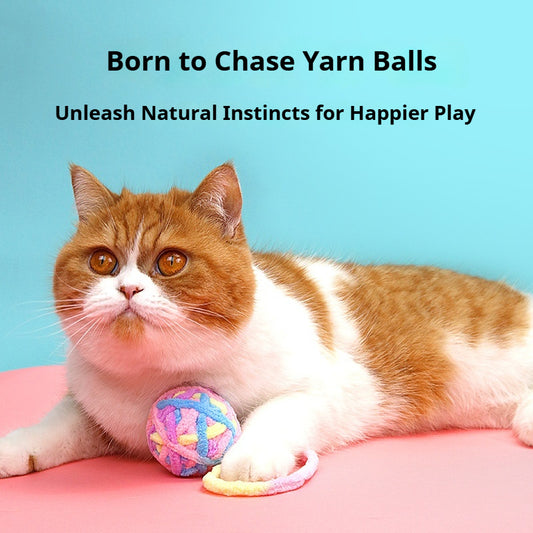 Jingly Yarn Ball for Cats